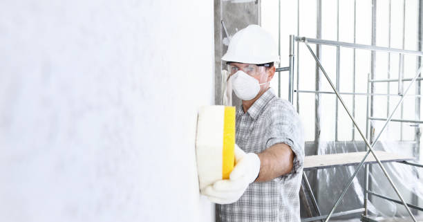 Why You Should Choose Our Mold Remediation Services in Rossville, IL